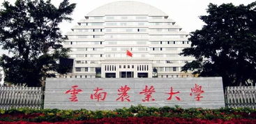 云南农业大学有哪些专业