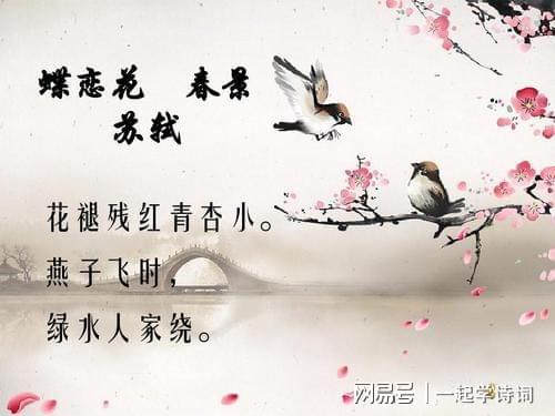 蝶恋花苏轼翻译，蝶恋花苏轼原文及翻译