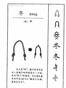 冬拼音怎么写