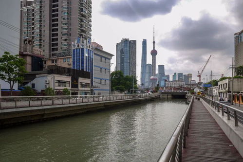 浦东新区属于哪个省哪个市