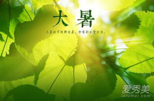 大暑是几点几分，大暑从几号到几号