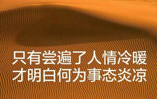 人情世故是什么意思，人情冷漠世态炎凉是什么意思