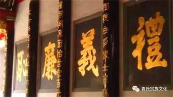 宗族是什么意思 宗族具体是什么意思
