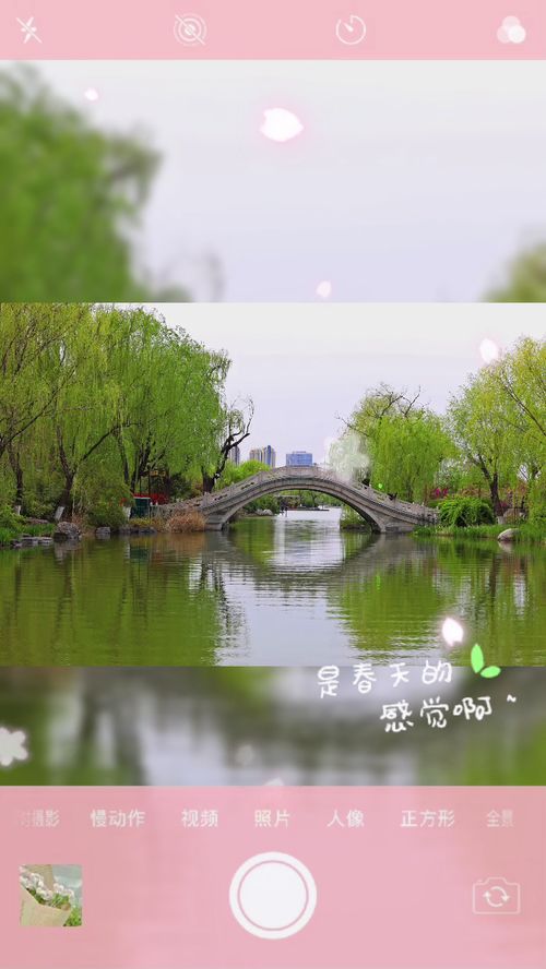 济南的春天需要背诵吗，济南的春天 老舍原文
