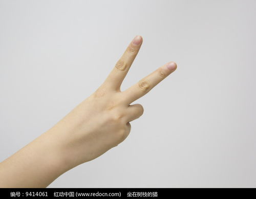 v手势图片，v手势与反v手势