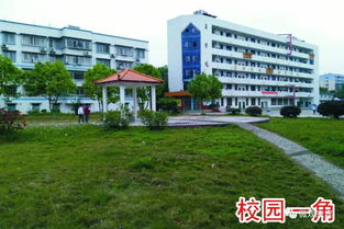 柳州高中有哪些学校