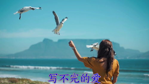 写不完的爱的歌词