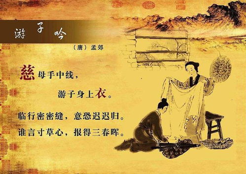 律诗分为什么，律诗分为哪四类