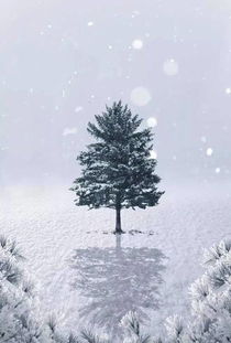 对雪高骈古诗朗读，对雪唐杜甫