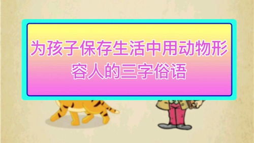 3个字俗语