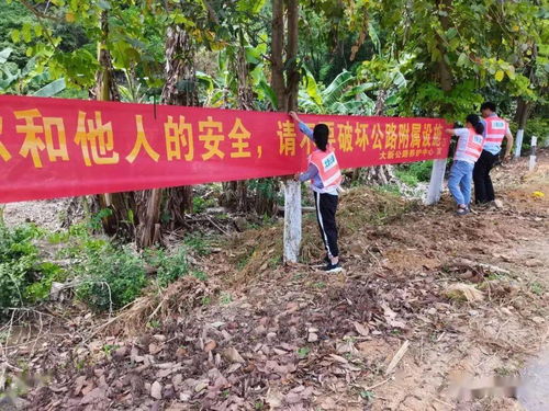 学校爱路护路宣传标语