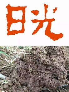 砭,怎么念,啥意思?