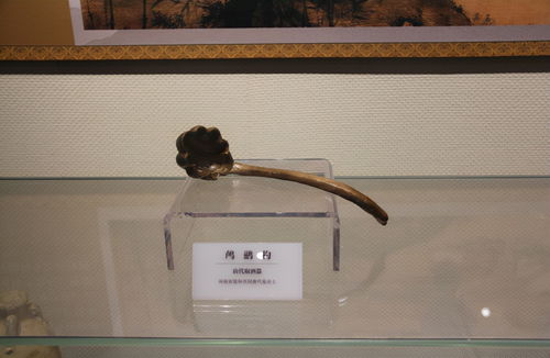 鸬的组词大全(约50个) 鸬的词语解释_鸬是什么意思?