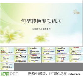 陈述句改转述句20例，陈述句改转述句5个