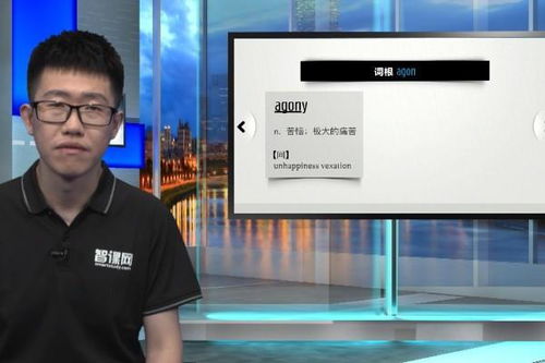 agony是什么意思抖音，agony 是什么意思中文
