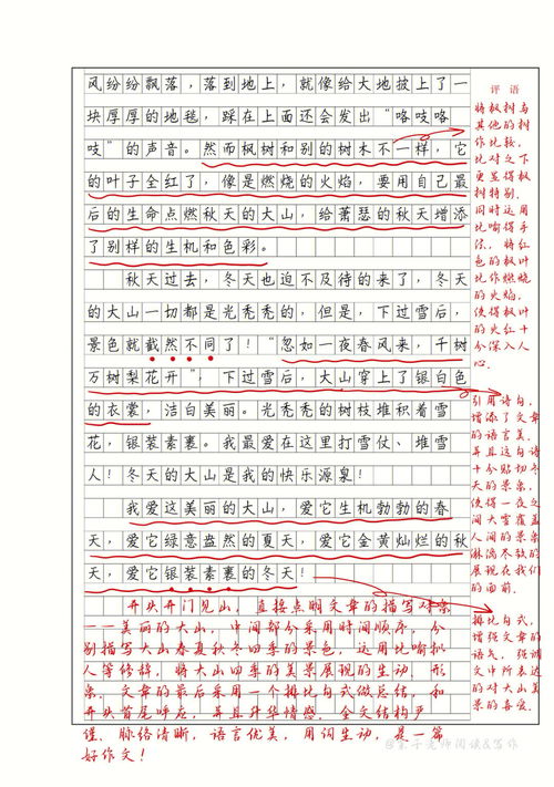 写景作文的好开头整理摘抄