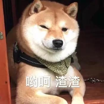 政治面貌怎么填写