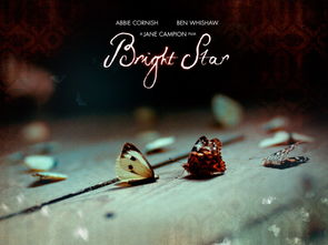 brightly怎么读，british怎么读