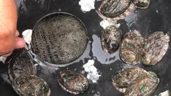 鲜活农产品品种目录，鲜活的近义词