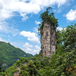 贵州大方县房价现房出售，贵州大方县避暑农家乐