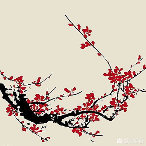 关于梅花的成语及解释，关于梅花的成语四个
