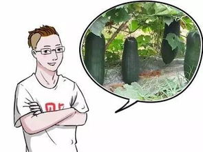 秋后是指几月份