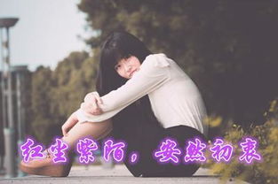 红尘什么意思