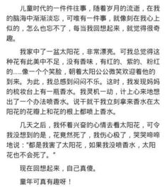美好的回忆作文 ,开头结尾?