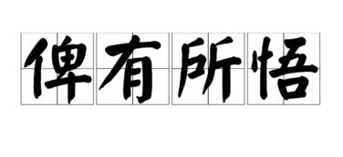 悟字是什么意思