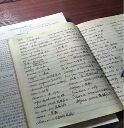 首先的英语三个单词，首先的短语