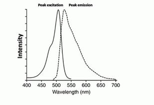 emission动词