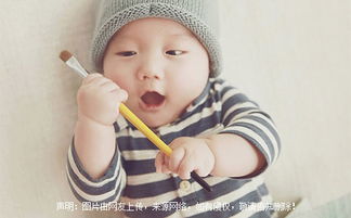 取名出自诗经