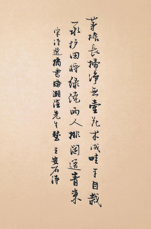 两山排闼送青来的意思，两山排闼送青来的闼怎么读