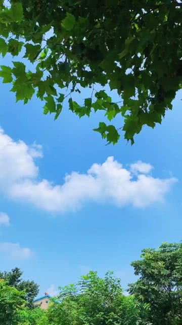 充满希望和励志的短句
