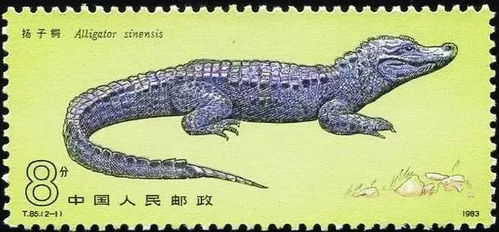 快剑斫断生蛟鼍是什么意思，鼍是什么意思解释