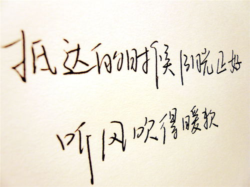 见或不见的歌词