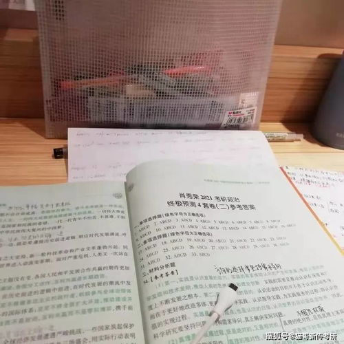 相信的力量作文600字初中，相信的力量作文700字