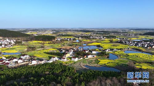 安徽省安庆市望江县天气预报7天，安微省望江县天气情况