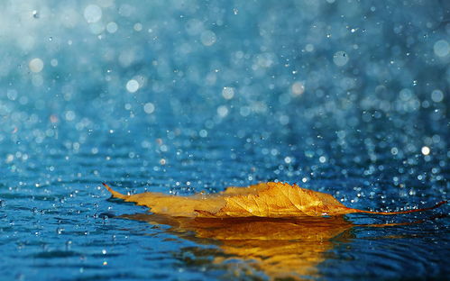 《雨》的现代诗歌