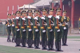 踵是什么意思