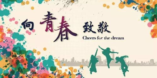 我的青春里有梦想作文800字初中，我的青春里有梦想作文700字