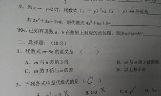 单项代数式是什么意思，递等式计算什么意思图片