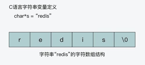 数什么意思?近义词和反义词是什么?英文翻译是什么?