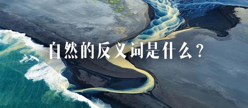 贪婪的反义词。