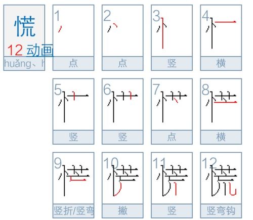 慌的笔顺怎么写的笔顺，张的笔顺
