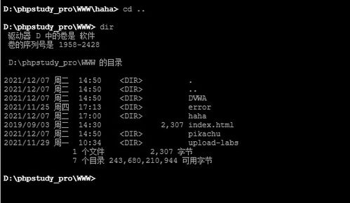 allow怎么读