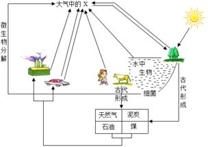 不会产生温室效应的气体，产生温室效应的气体有