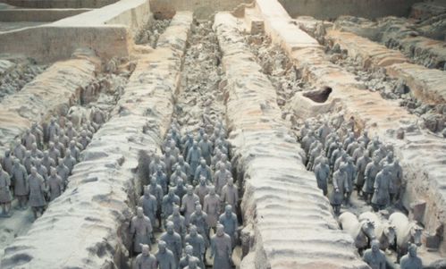 army是什么意思