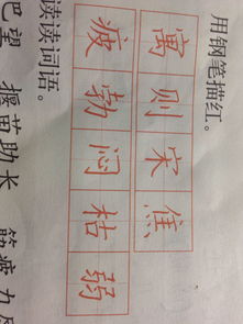红组词一年级，红组词三个
