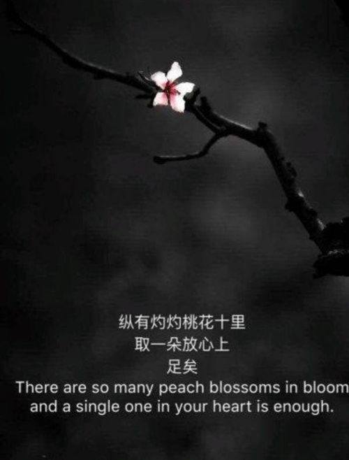 十里春风不如你,三里桃花不及卿，桃花灼灼是什么生肖